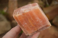 Natural New Sunset Orange Calcite Specimens  x 4 From Spitzkop, Namibia - Toprock Gemstones and Minerals 