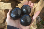 Polished Black Basalt Palm Stones x 12 From Madagascar - Toprock Gemstones and Minerals 