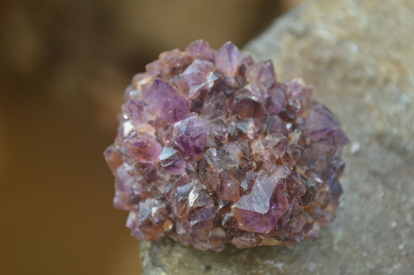 Natural Amethyst Crystal Plates x 12 From Mapatizya, Zambia - Toprock Gemstones and Minerals 