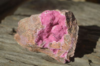 Natural Pink Salrose Cobaltion Dolomite Specimens x 6 From Kakanda, Congo - Toprock Gemstones and Minerals 
