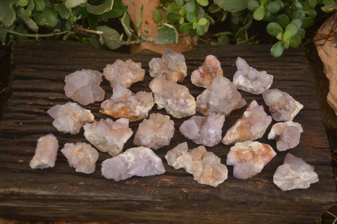 Natural Mixed Spirit Quartz Crystal Specimens x 24 From Boekenhouthoek, South Africa - Toprock Gemstones and Minerals 