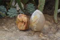Polished Mixed Agate Standing Free Forms  x 6 From Madagascar