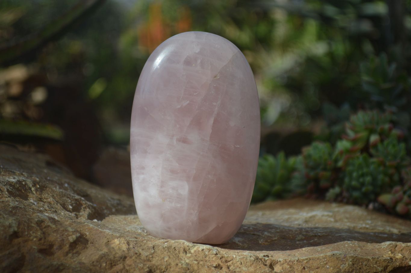 Polished Pink Rose Quartz Standing Free Forms x 2 From Antsirabe, Madagascar - Toprock Gemstones and Minerals 