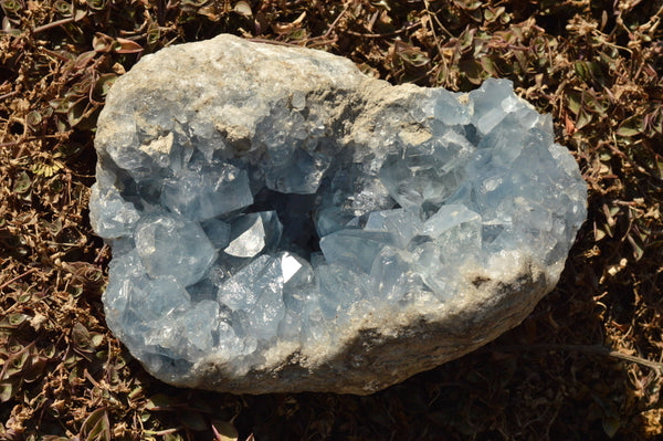 Natural Blue Celestite Geode Specimen With Nice Gemmy Crystals  x 1 From Sakoany, Madagascar - TopRock