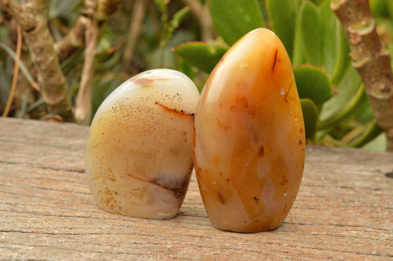 Polished Dendritic Agate Standing Free Forms  x 5 From Moralambo, Madagascar - TopRock