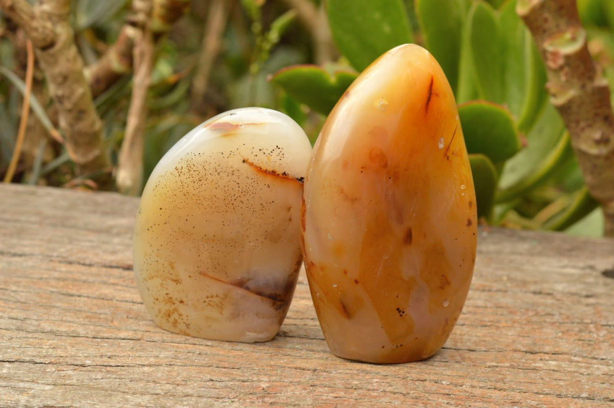 Polished Dendritic Agate Standing Free Forms  x 5 From Moralambo, Madagascar - TopRock