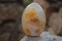Polished Mixed Agate Standing Free Forms  x 6 From Madagascar