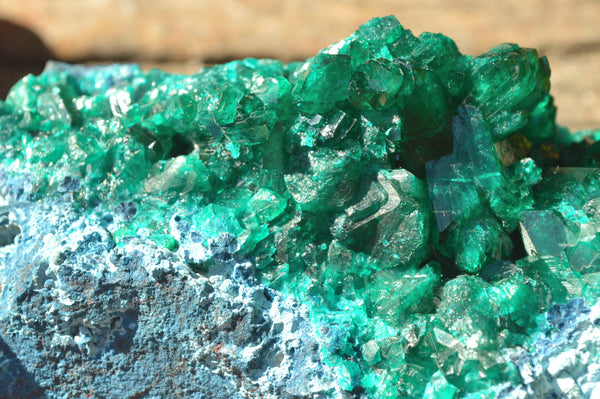 Natural Stunning Large Dioptase Crystals On Shattuckite Specimen x 1 From Brazzaville, Congo - TopRock