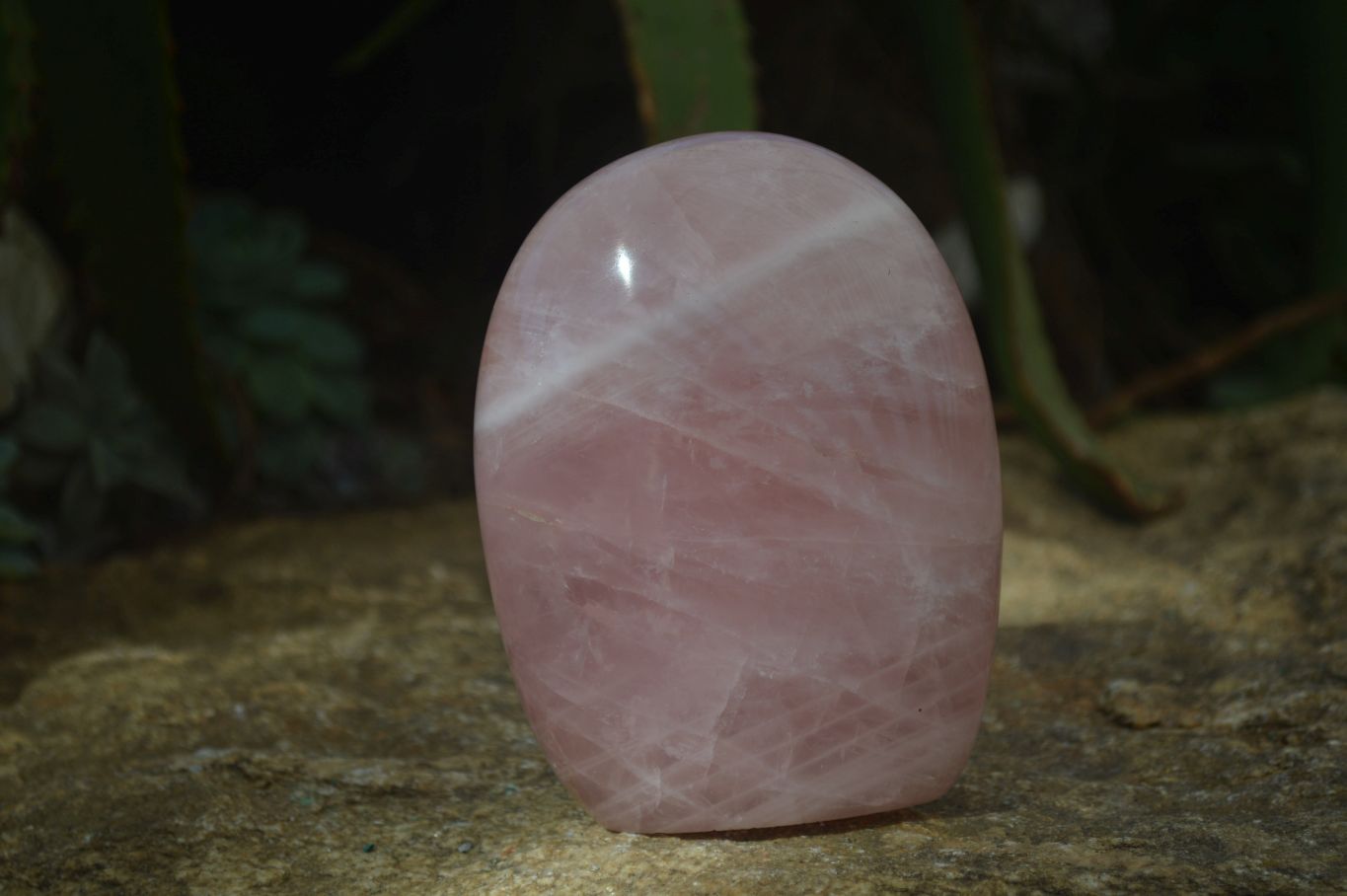 Polished Pink Rose Quartz Standing Free Forms x 2 From Antsirabe, Madagascar - Toprock Gemstones and Minerals 