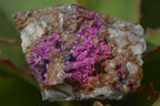Natural Pink Salrose Cobaltion Dolomite Specimens  x 6 From Kakanda, Congo - Toprock Gemstones and Minerals 