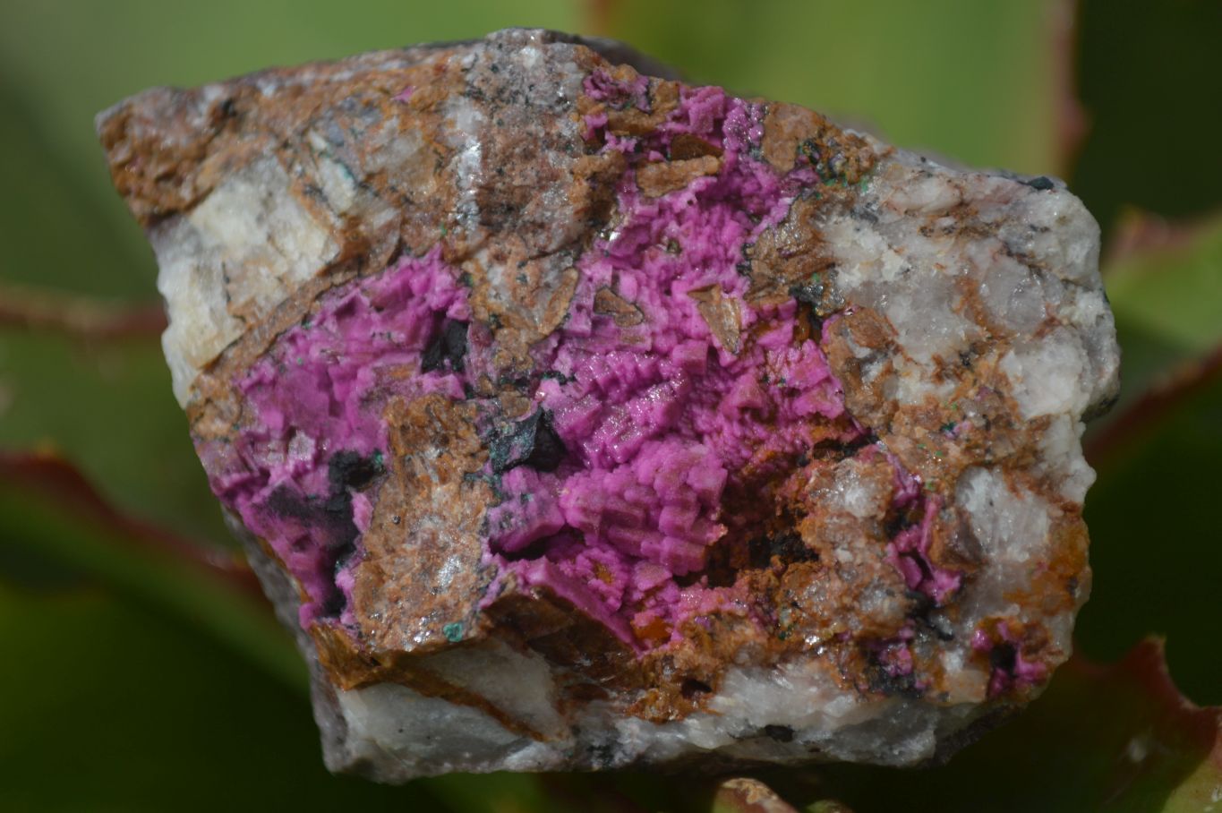 Natural Pink Salrose Cobaltion Dolomite Specimens  x 6 From Kakanda, Congo - Toprock Gemstones and Minerals 