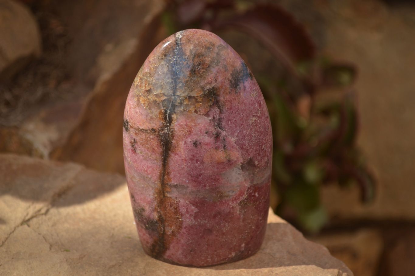 Polished  Pink & Black Rhodonite Standing Free Forms x 2 From Madagascar - Toprock Gemstones and Minerals 