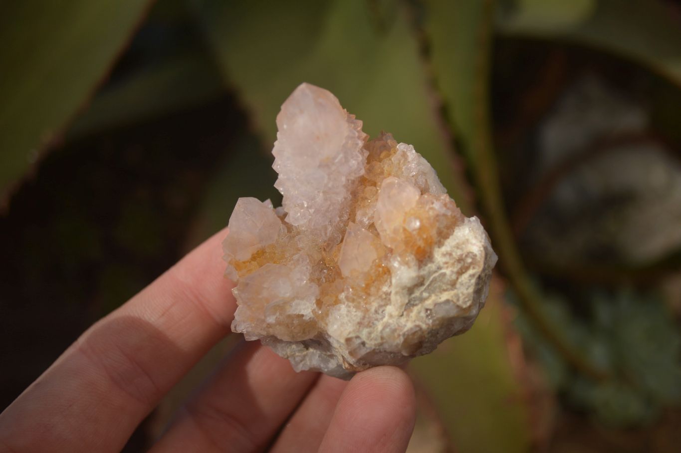 Natural Mixed Spirit Quartz Crystal Specimens x 24 From Boekenhouthoek, South Africa - Toprock Gemstones and Minerals 