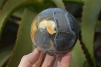 Polished Agate Spheres x 3 From Madagascar - Toprock Gemstones and Minerals 