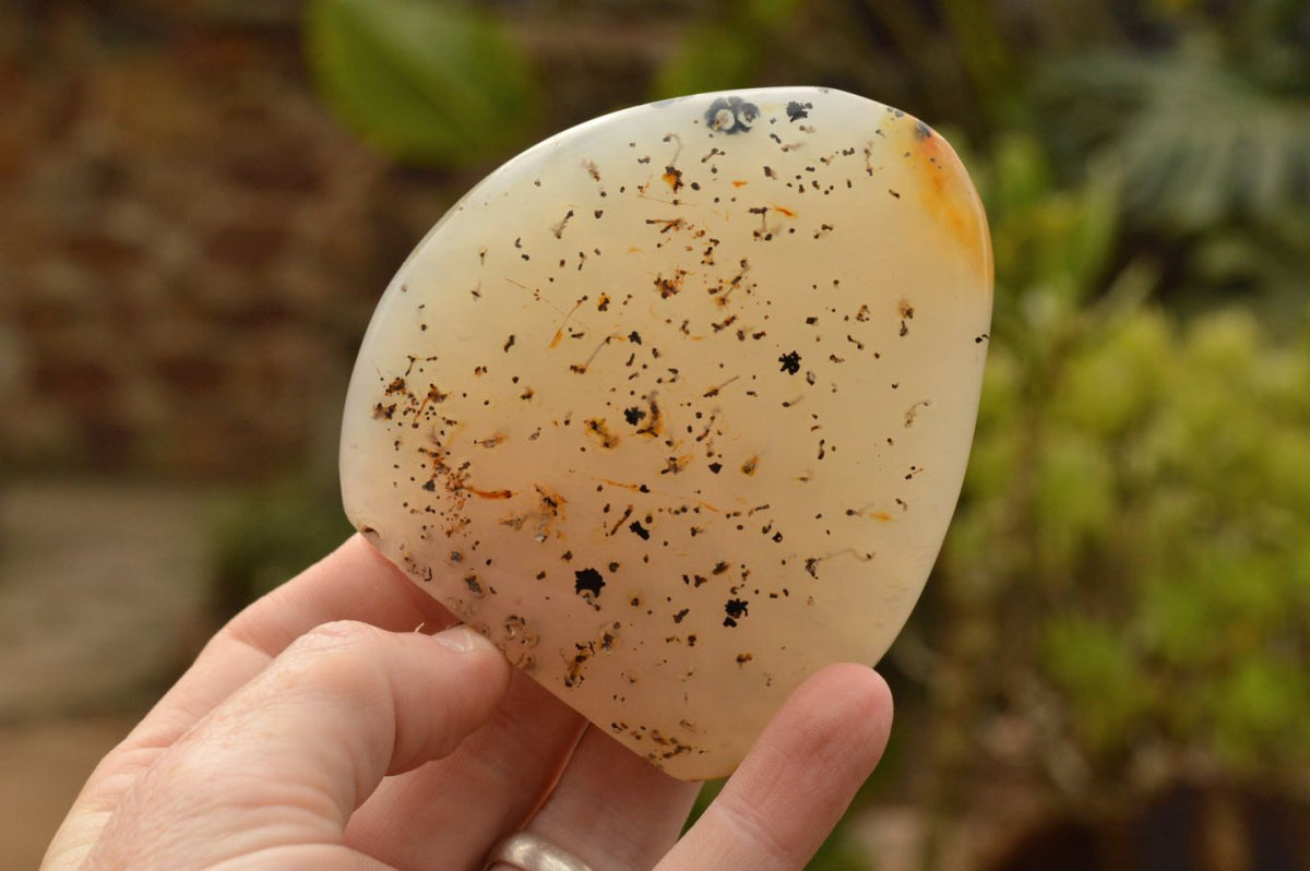 Polished Dendritic Agate Standing Free Forms  x 5 From Moralambo, Madagascar - TopRock