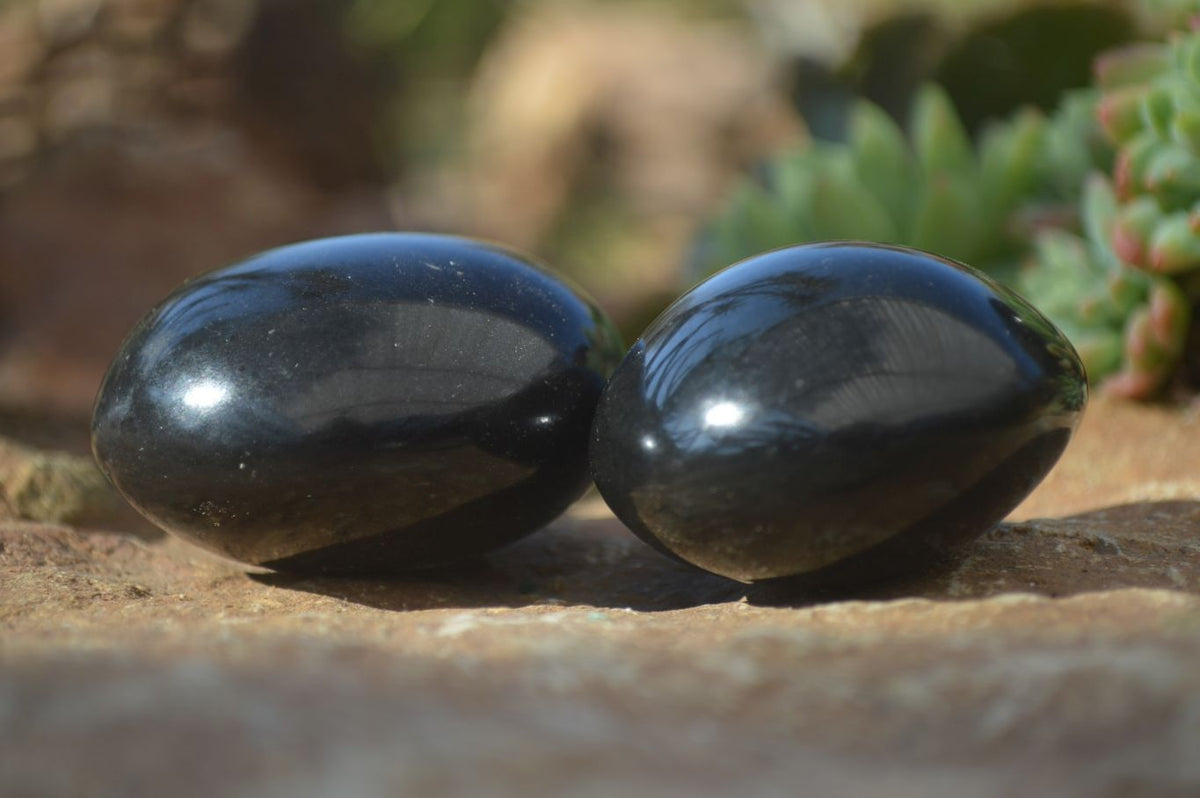 Polished Black Basalt Palm Stones x 12 From Madagascar - Toprock Gemstones and Minerals 