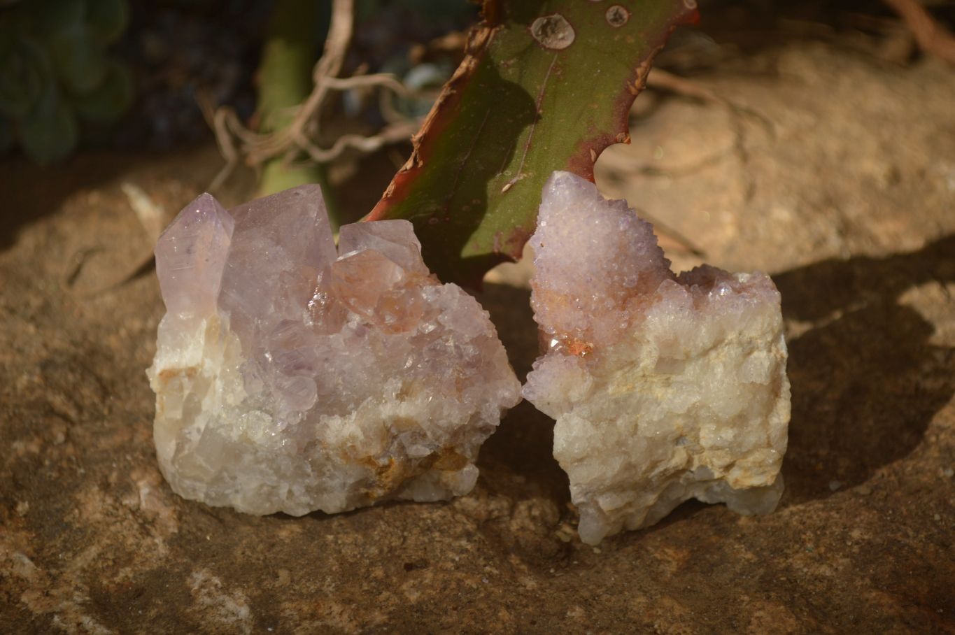 Natural Mixed Spirit Quartz Crystal Specimens x 24 From Boekenhouthoek, South Africa - Toprock Gemstones and Minerals 