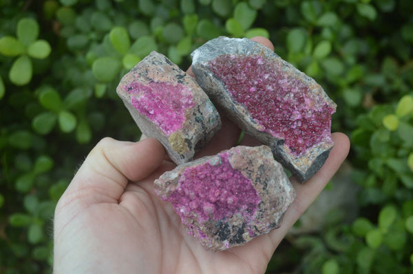 Natural Salrose Cobaltion Dolomite Specimens x 12 From Kakanda, Congo - Toprock Gemstones and Minerals 