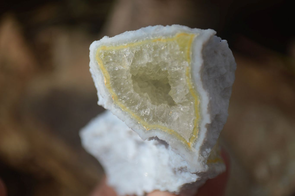 Natural Etched Blue Chalcedony Specimens  x 6 From Nsanje, Malawi - Toprock Gemstones and Minerals 