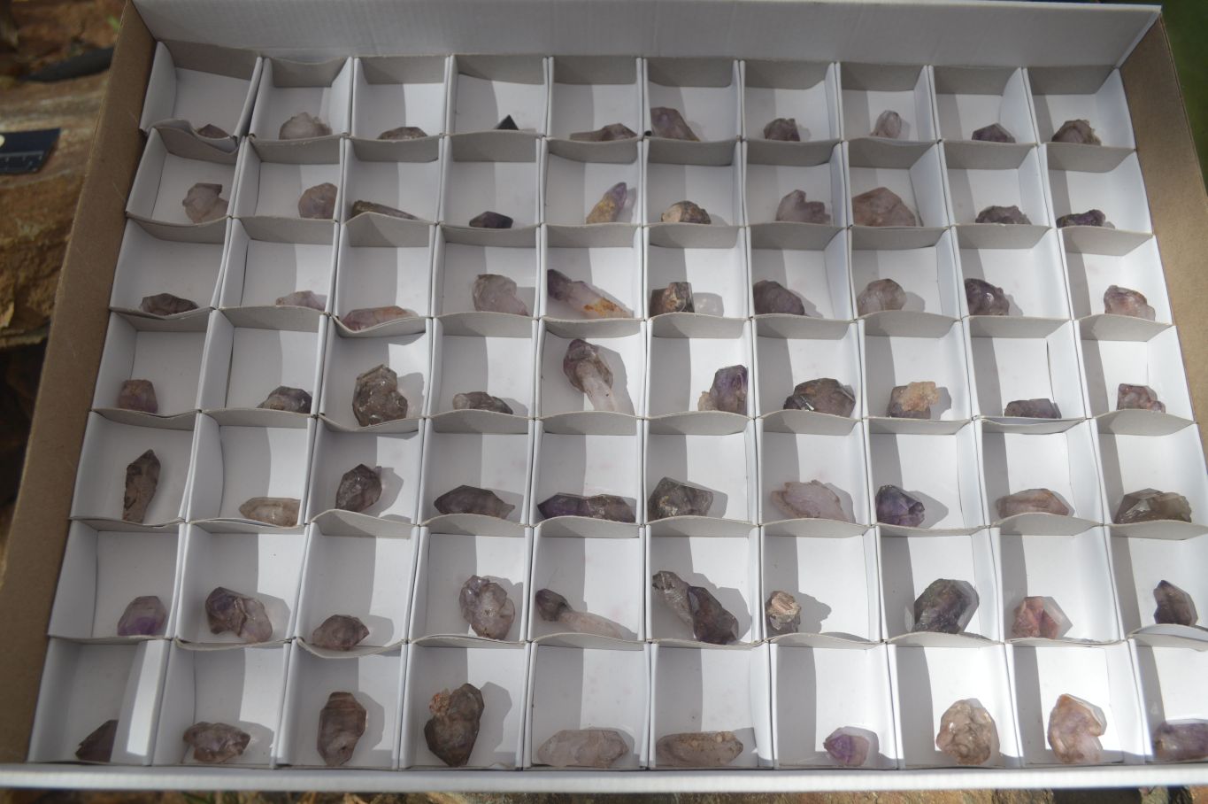 Natural Window Amethyst Crystals  x 70 From Chiredzi, Zimbabwe - Toprock Gemstones and Minerals 