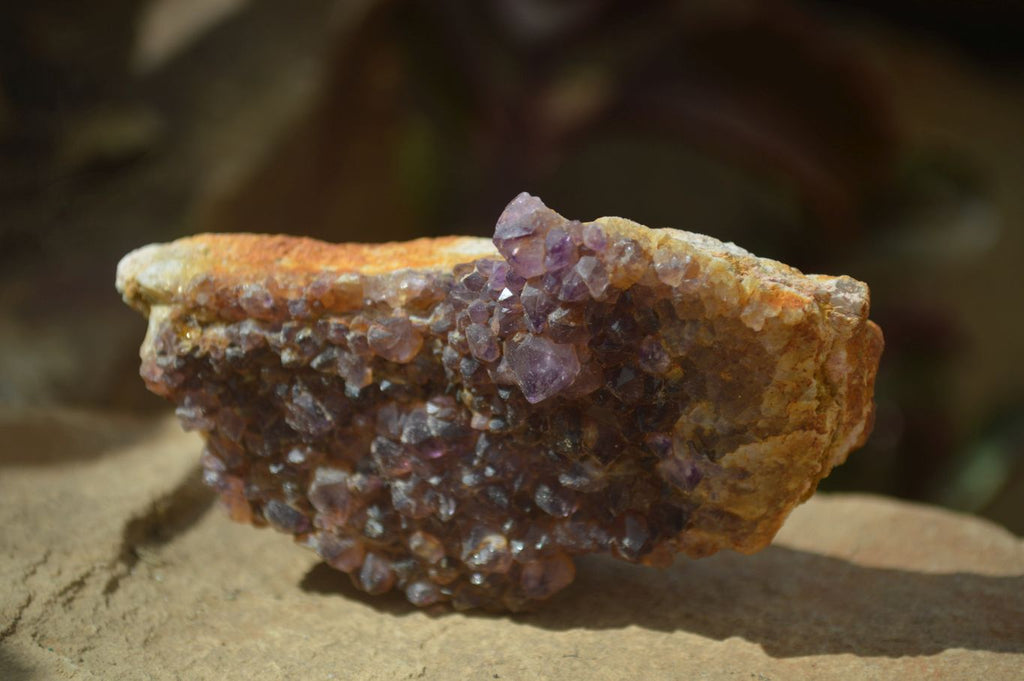 Natural Amethyst Crystal Plates x 12 From Mapatizya, Zambia - Toprock Gemstones and Minerals 