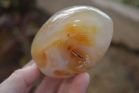 Polished Mixed Agate Standing Free Forms  x 6 From Madagascar