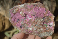 Natural Salrose Cobaltion Dolomite Specimens x 3 From Kakanda, Congo - Toprock Gemstones and Minerals 