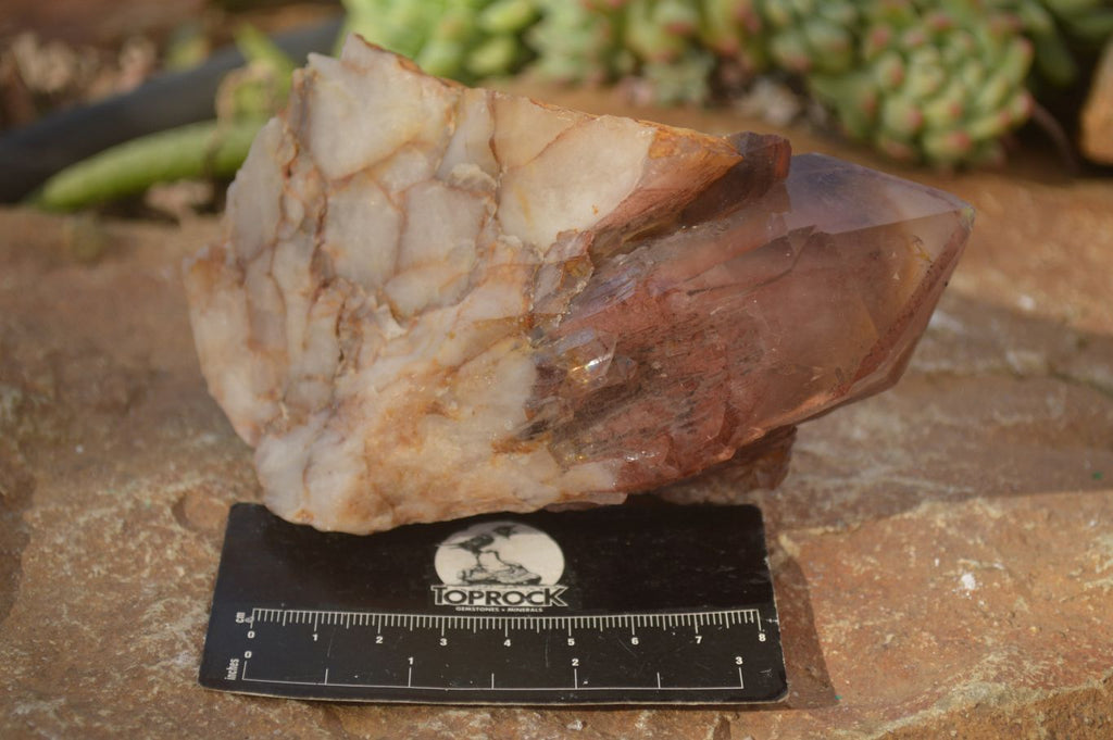 Natural Red Hematoid Phantom Quartz Specimens x 2 From Karoi, Zimbabwe - Toprock Gemstones and Minerals 