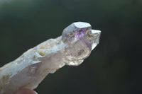 Natural Large Smokey Amethyst / Window Amethyst Crystals  x 12 From Chiredzi, Zimbabwe - Toprock Gemstones and Minerals 