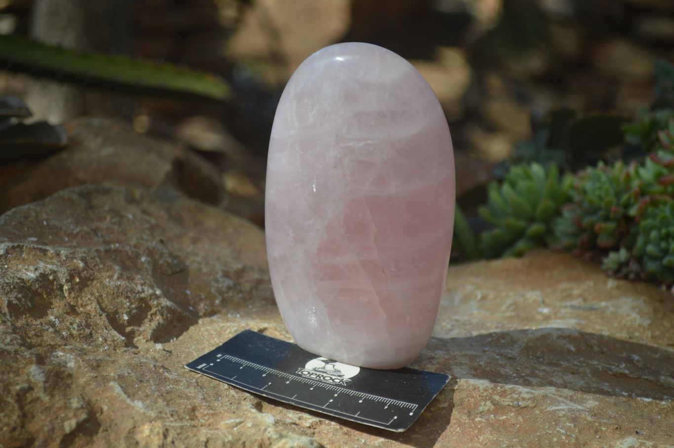 Polished Pink Rose Quartz Standing Free Forms x 2 From Antsirabe, Madagascar - Toprock Gemstones and Minerals 