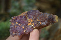 Natural Amethyst Crystal Plates x 12 From Mapatizya, Zambia - Toprock Gemstones and Minerals 