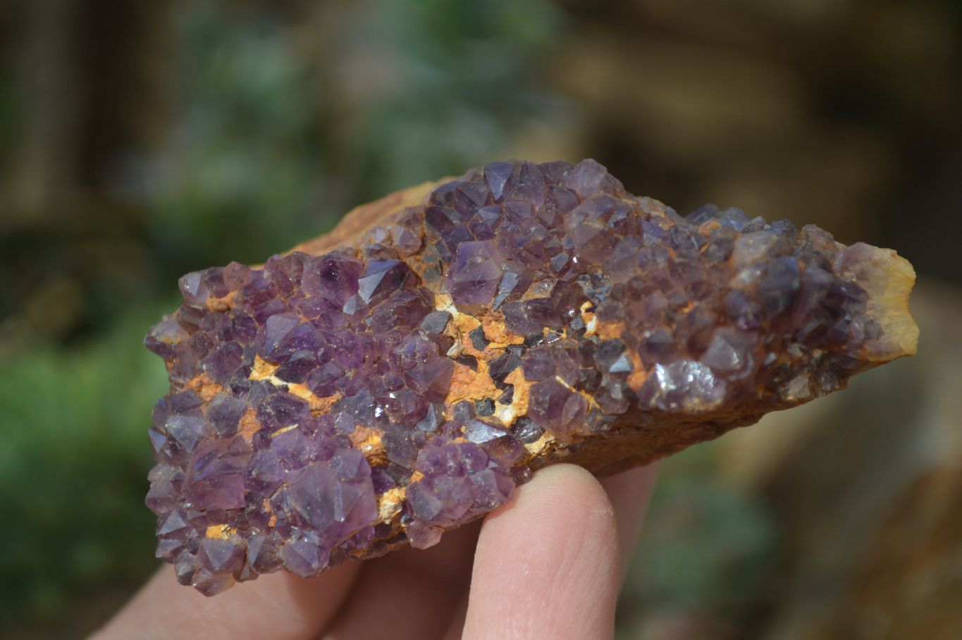 Natural Amethyst Crystal Plates x 12 From Mapatizya, Zambia - Toprock Gemstones and Minerals 