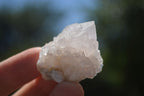 Natural Small Spirit Quartz Crystals & Clusters  x 70 From Boekenhouthoek, South Africa - TopRock