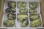 Polished Spotted Leopard Stone Gallets  x 12 From Nyanga & Shamva, Zimbabwe - Toprock Gemstones and Minerals 