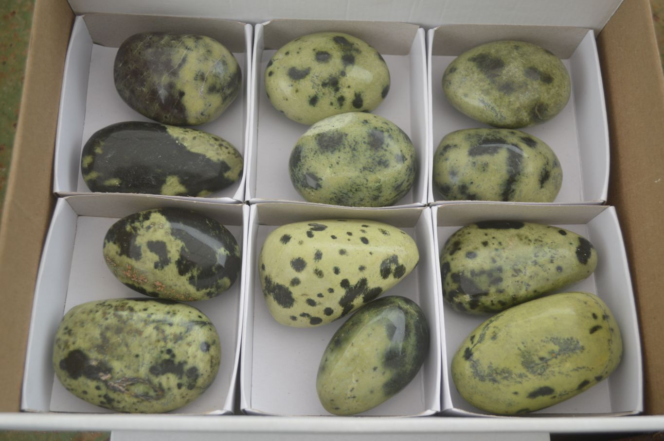 Polished Spotted Leopard Stone Gallets  x 12 From Nyanga & Shamva, Zimbabwe - Toprock Gemstones and Minerals 