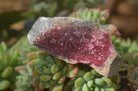Natural Salrose Cobaltion Dolomite Specimens x 12 From Kakanda, Congo - Toprock Gemstones and Minerals 