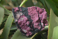Natural Pink Salrose Cobaltion Dolomite Specimens  x 3 From Kakanda, Congo