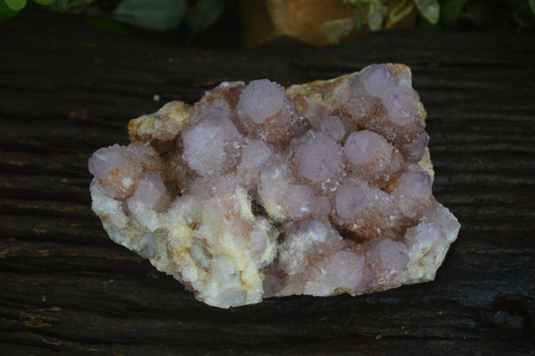 Natural Extra Large Spirit Ametrine Quartz Cluster  x 1 From Boekenhouthoek, South Africa - Toprock Gemstones and Minerals 