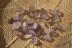 Natural Window Amethyst Crystals  x 70 From Chiredzi, Zimbabwe - Toprock Gemstones and Minerals 