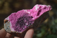 Natural Pink Salrose Cobaltion Dolomite Specimens x 6 From Kakanda, Congo - Toprock Gemstones and Minerals 