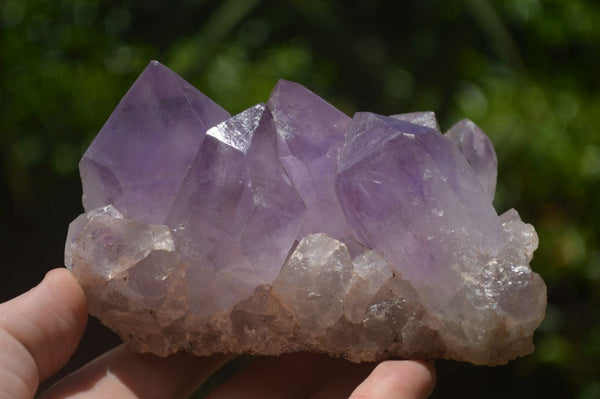 Natural Amethyst Crystal Clusters  x 3 From Zambia - TopRock
