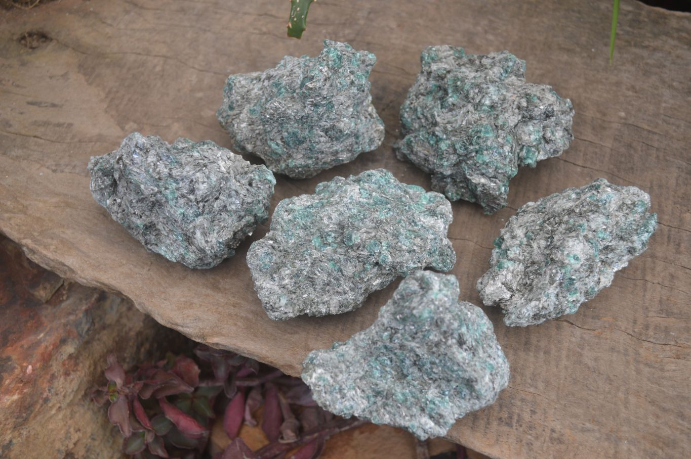 Natural Rare Emerald Mica In Matrix Cobbed Specimens x 6 From Mutoko, Zimbabwe - Toprock Gemstones and Minerals 
