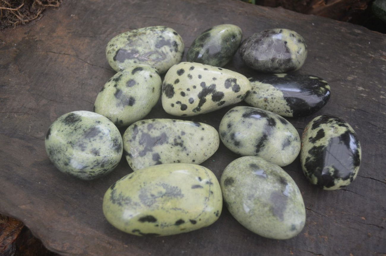 Polished Spotted Leopard Stone Gallets x 12 From Nyanga Shamva