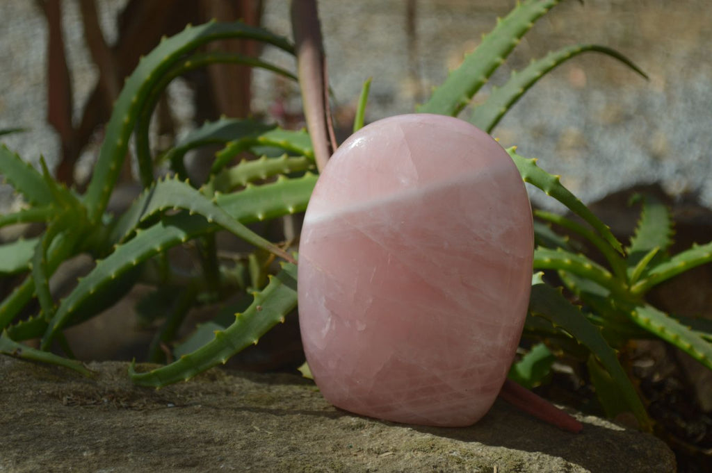 Polished Pink Rose Quartz Standing Free Forms x 2 From Antsirabe, Madagascar - Toprock Gemstones and Minerals 