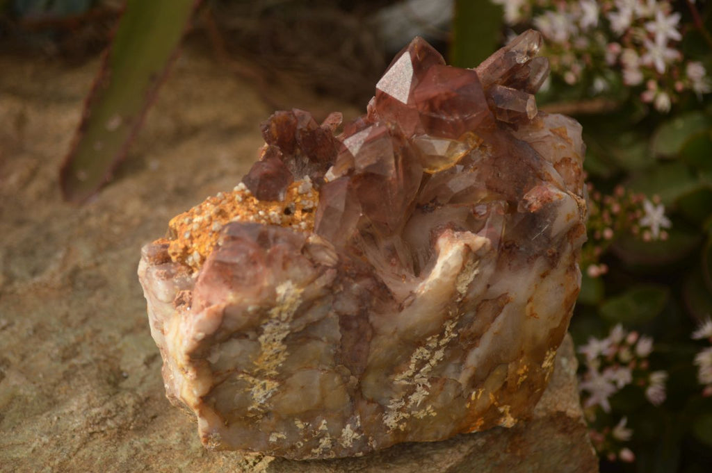 Natural Red Hematoid Phantom Quartz Specimens x 2 From Karoi, Zimbabwe - Toprock Gemstones and Minerals 
