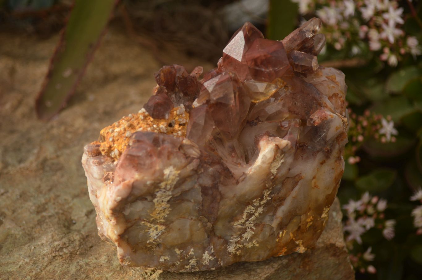 Natural Red Hematoid Phantom Quartz Specimens x 2 From Karoi, Zimbabwe - Toprock Gemstones and Minerals 