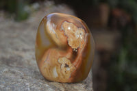 Polished Mixed Agate Standing Free Forms  x 6 From Madagascar