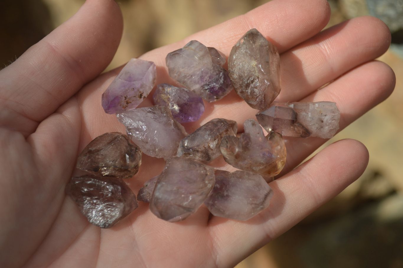 Natural Window Amethyst Crystals  x 70 From Chiredzi, Zimbabwe - Toprock Gemstones and Minerals 