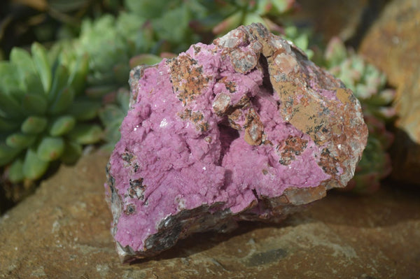 Natural Salrose Cobaltion Dolomite Specimens x 3 From Kakanda, Congo - Toprock Gemstones and Minerals 