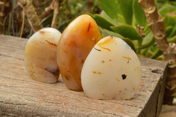 Polished Dendritic Agate Standing Free Forms  x 5 From Moralambo, Madagascar - TopRock